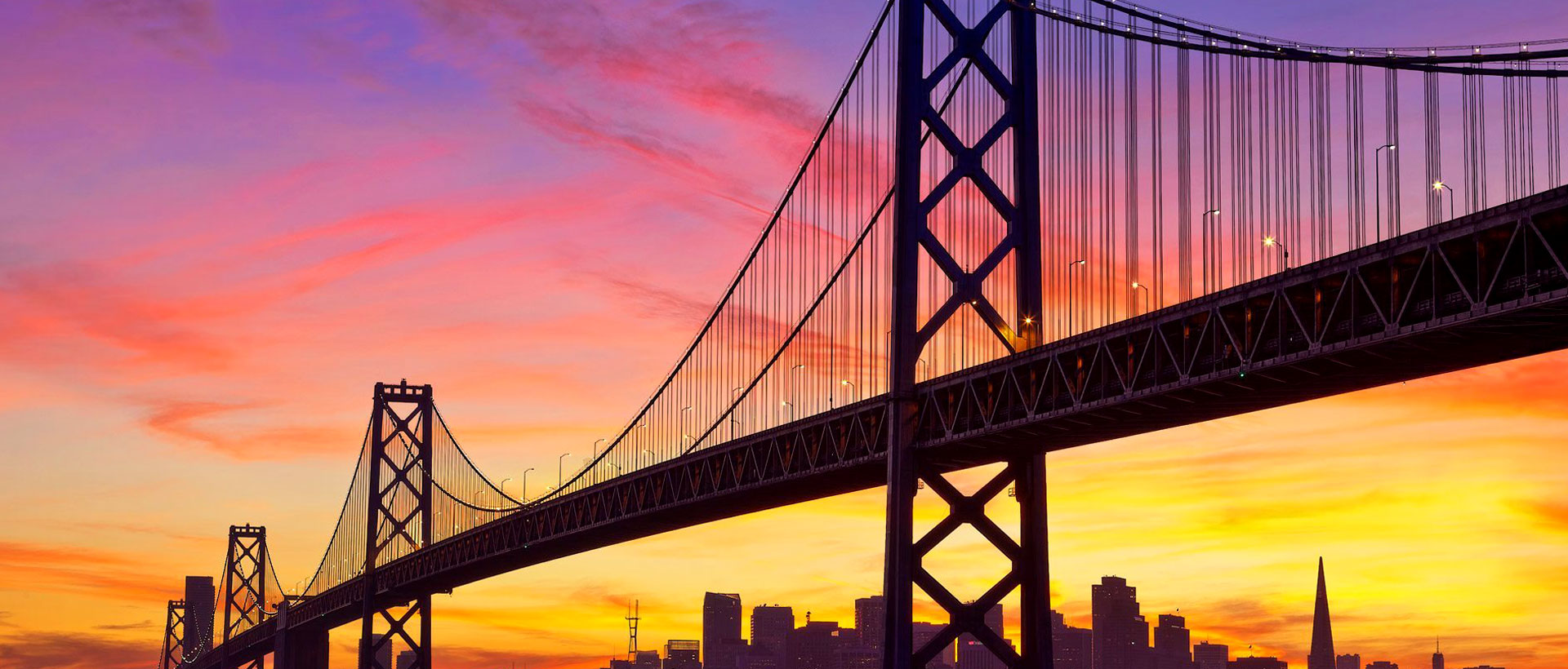 上海助騰網(wǎng)站設(shè)計(jì)制作開發(fā)公司推薦案例-乾立基金-1