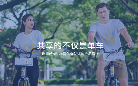 上海助騰網站設計制作開發公司推薦案例-岸峰-2