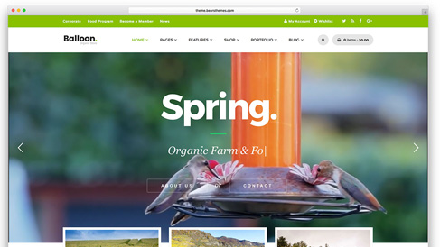 上海助騰科技-網(wǎng)站設(shè)計(jì)制作案例