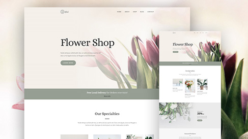 上海助騰科技-網站設計制作案例