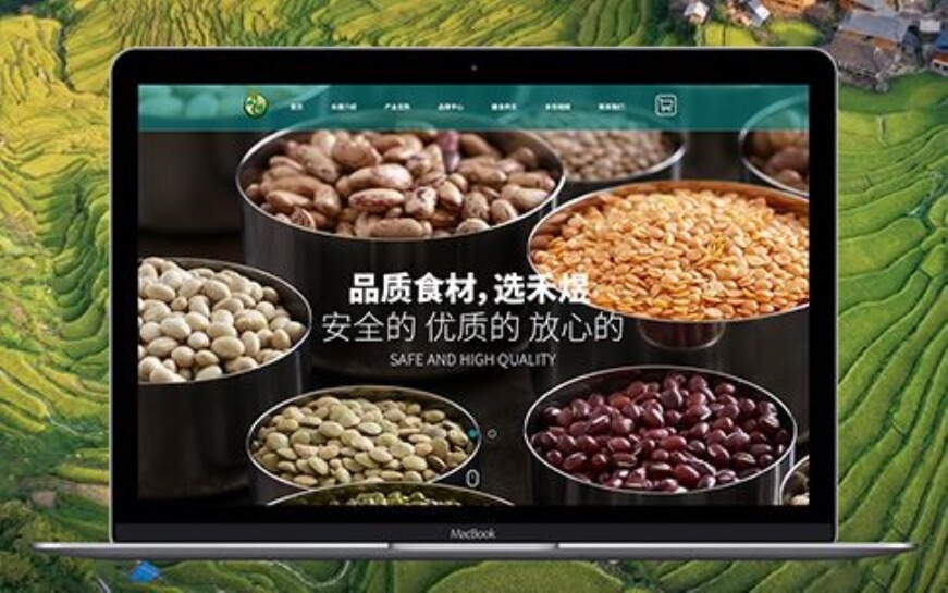 上海助騰科技-網(wǎng)站設(shè)計(jì)制作案例